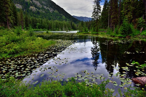 Mountainside, Blue Skies and Clouds Caught in Lake Water Reflections (North Cascades National Park Service Complex) by thor_mark , Another image captured at Howard Lake (Coon Lake) but this time I decided to angle my SLR camera eve