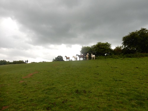 Horses up a hill Godstone to Oxted 2 walkers approaching