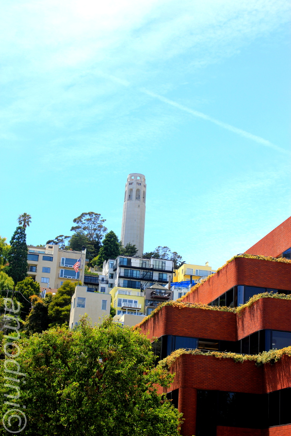 Coit Tower from afar, San Francisco