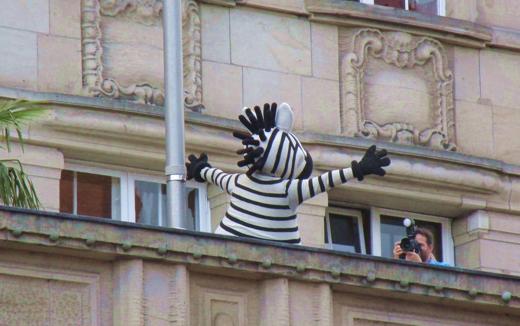 heute Abend wurde in Kiel der THW, dei Handballmannschaft gefeiert. Das Maskottchen, ein Zebra, zeigt sich auf dem Balkon des Rathauses