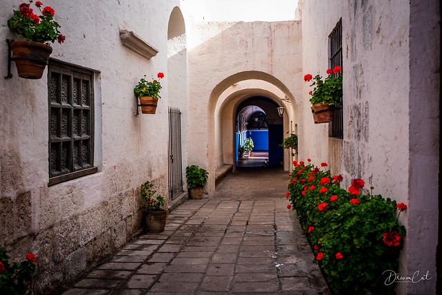 Small alley in Monasterio de Santa Catalina
