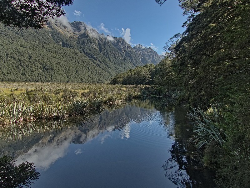 Lacs Rivière et Cascades de Nouvelle-Zélande (ajout Catlins et Fjords) 48038775386_762c2226b2_c