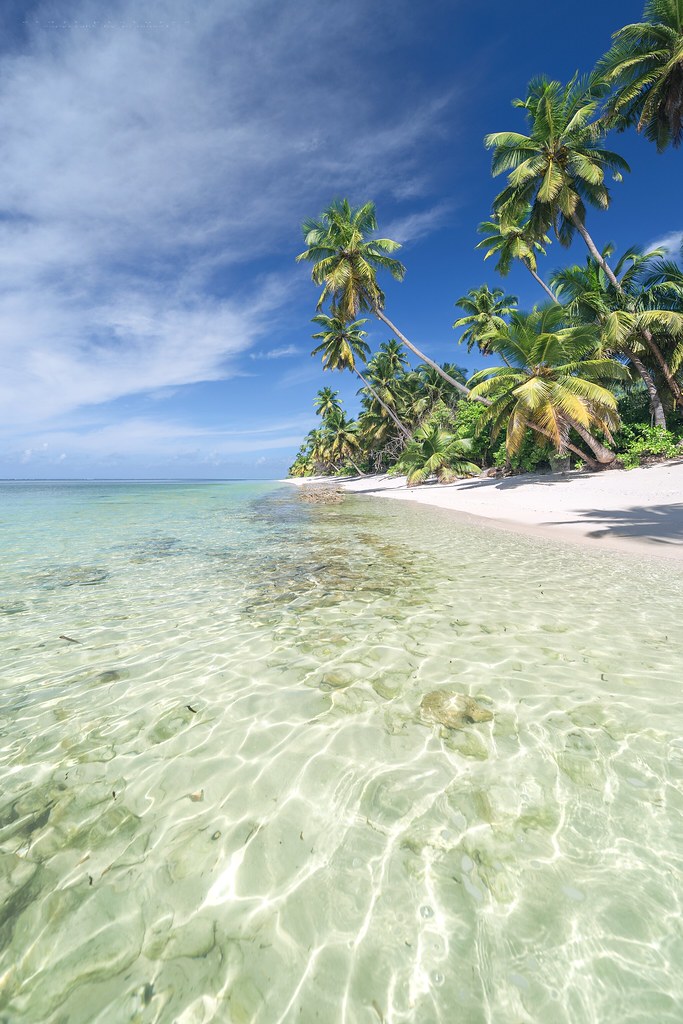 Alphonse Island - Alphonse Atoll - Seychelles 2019 | Flickr