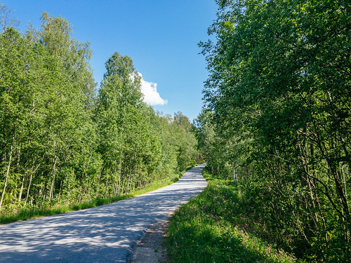 eteläsavo europe finland halide mäntyharju southernsavonia birch forest iphonex iphone nature road sky summer trees
