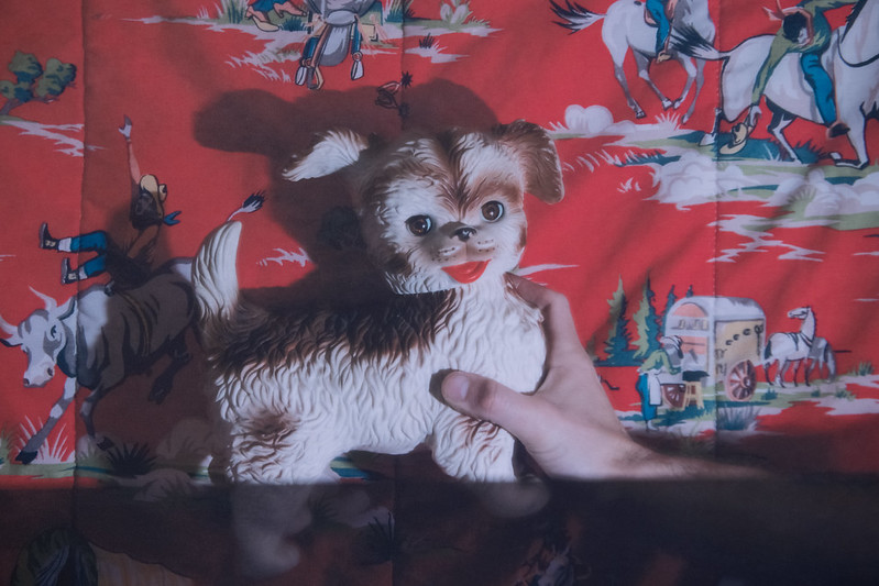 hand holding small toy dog in front of blanket