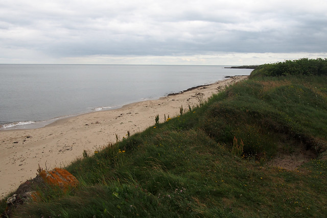 The beach at The coast north of Newbiggin Moor
