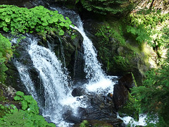 Bílá Opava: „Náročná turistická stezka“ k Velkému vodopádu