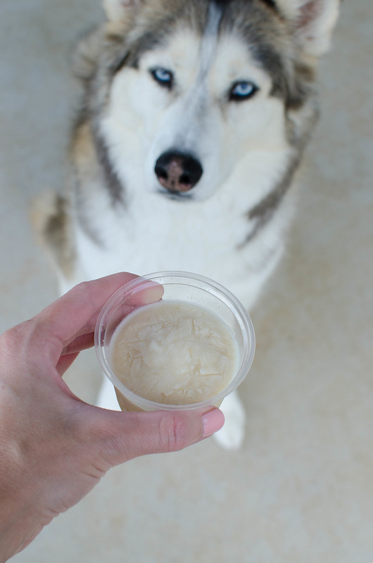 Apple Peanut Butter Dog Ice Cream - easy and healthy 4 ingredient homemade dog treat! A great way to keep your pup cool all summer.