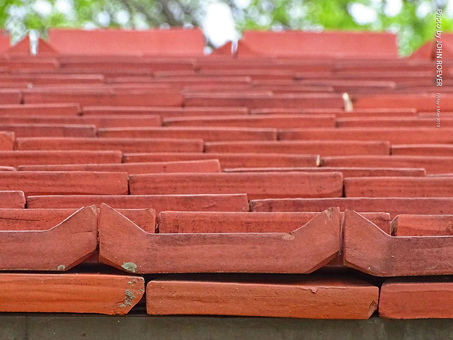 Red Roof Tiles on the Allen House, 3 May 2019