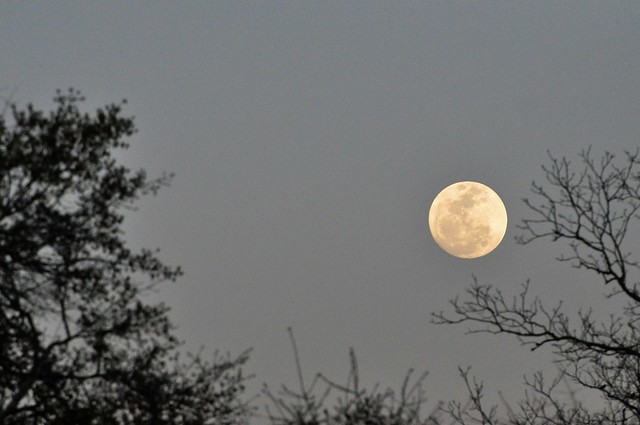 Full Moon Over FAMU