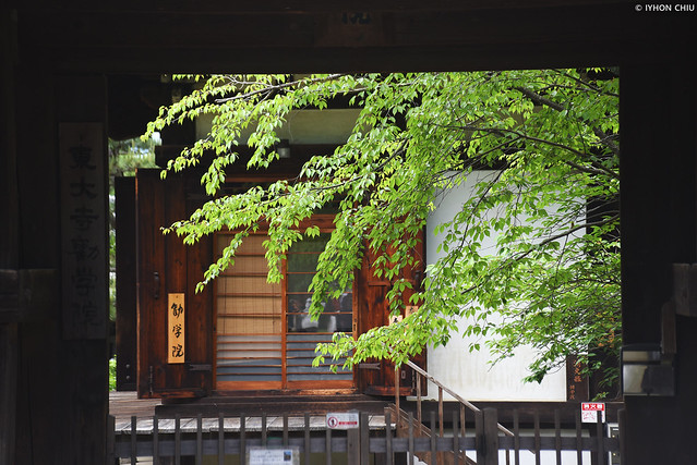 奈良・東大寺 ∣ Todaiji Temple・Nara city