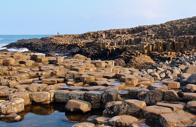 The Giant's Causeway, Northern Ireland.
