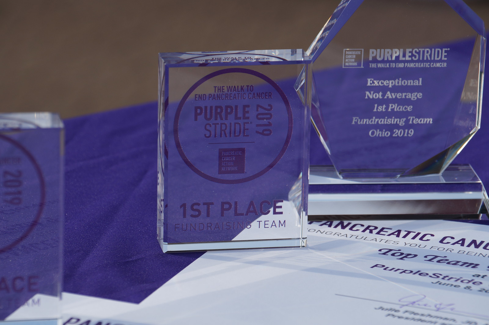 PurpleStride Cleveland 2019 (2)