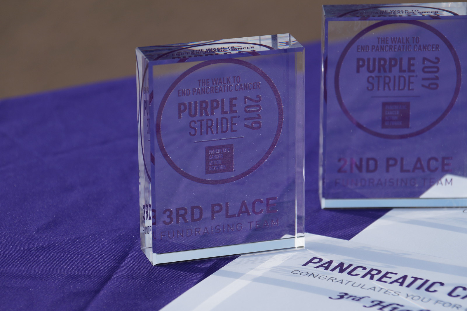 PurpleStride Cleveland 2019 (1)