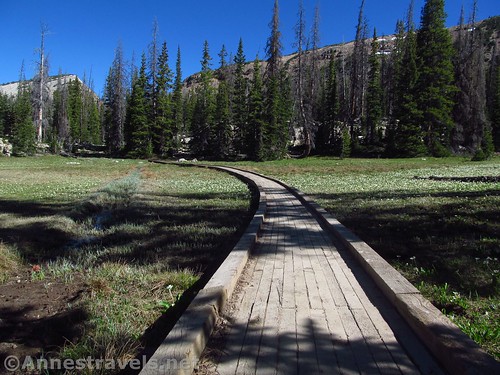 Curving walkway over a swampy part of the trail to Ibantik Lake, Uinta Mountains, Utah