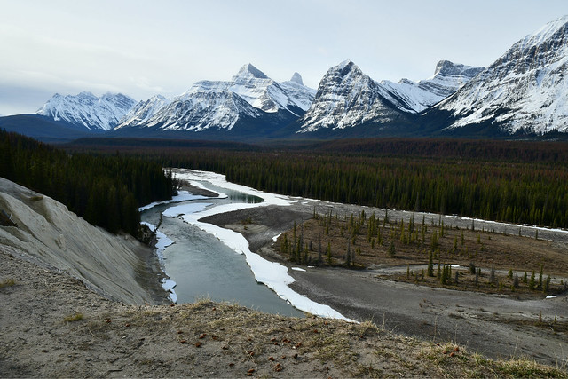 Athabasca Valley