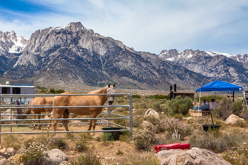 Tuttle Creek Campground equestrian site