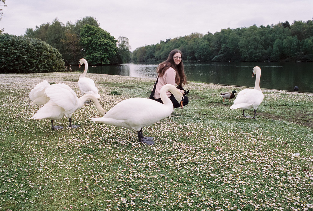 With the swans