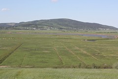 Rural Landscape in Harvey, New Brunswick