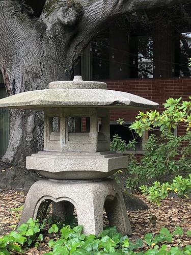 Stone Lantern with Serious Tree