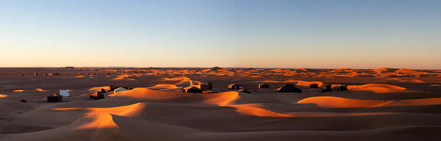 desert dawn