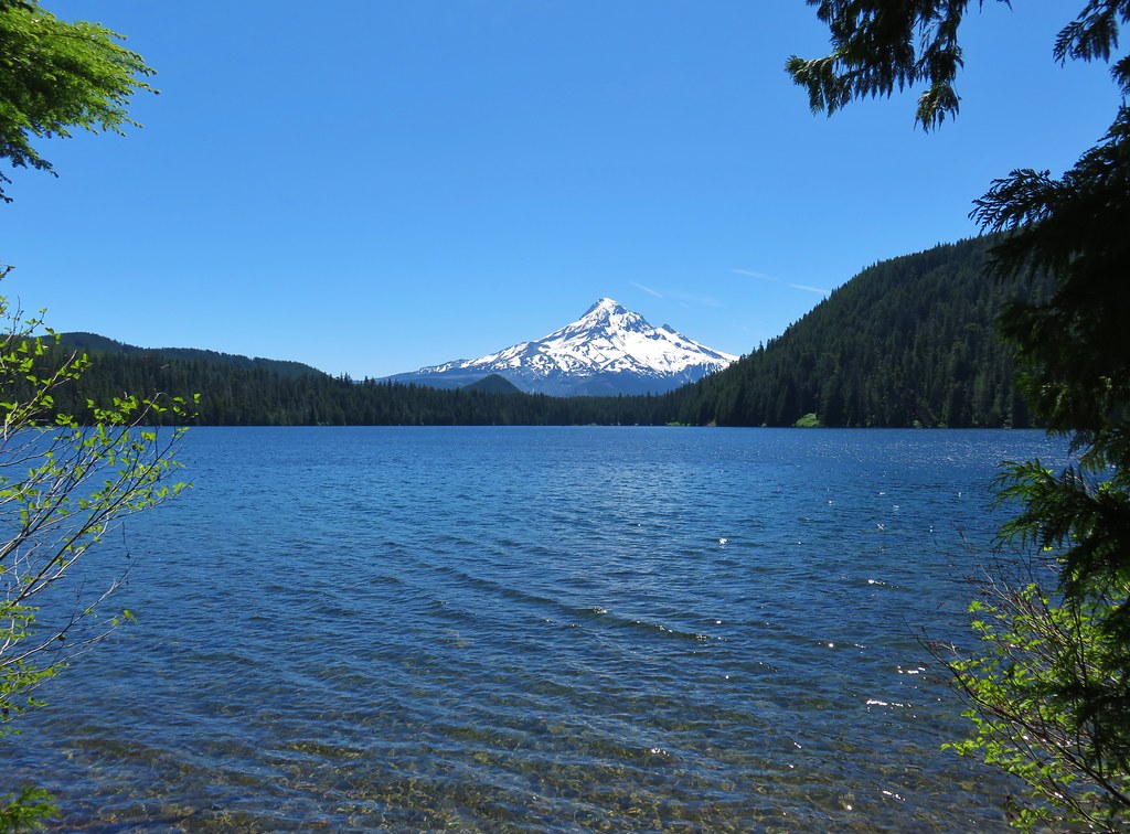 Mt. Hood from Lost Lake