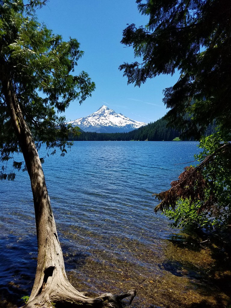 Mt. Hood from the bench