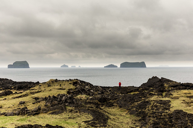 And the old lava in Vestmannaeyjar