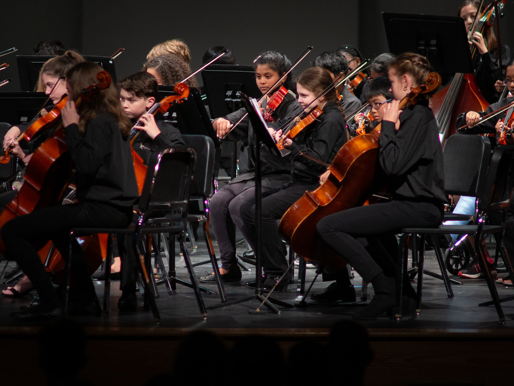 Concert Orchestra