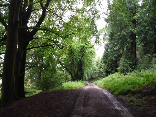 Moody Route through Three Score Acres (wood) SWC Walk 342 - Bruton Circular (via Stourhead)