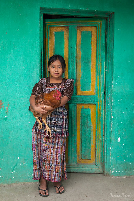 Guatemalan girl holding rooster.
