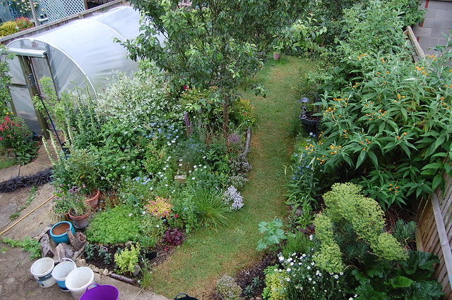 Looking Down on the Back Garden - June 2019