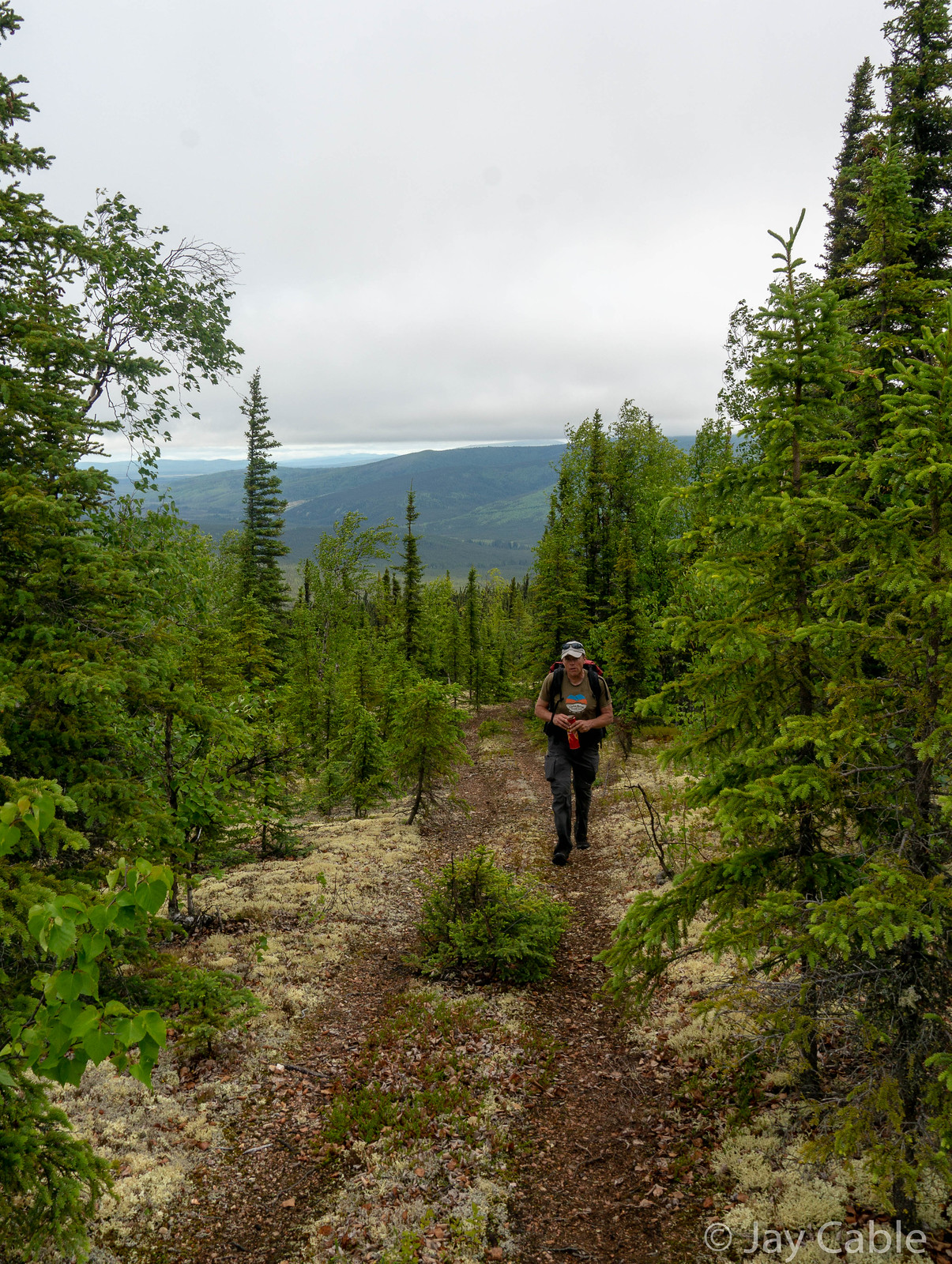 Alaska Cross 2019