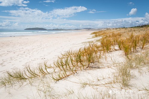Camps Bay Beach