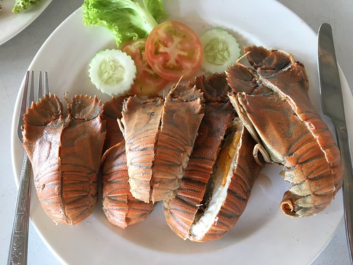 koh samui seafood lunch サムイ島セミエビ(レアもの)-カニランチ