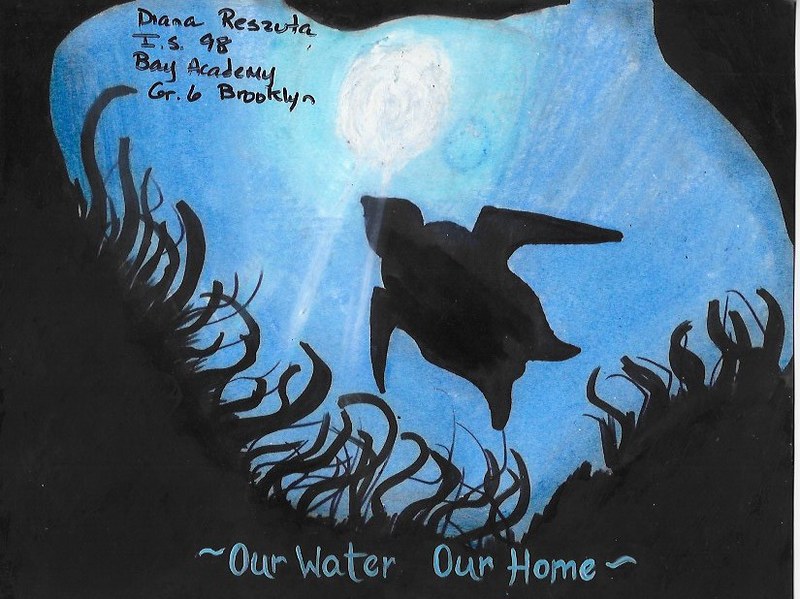 Water Resources Art Poetry Contest Dep