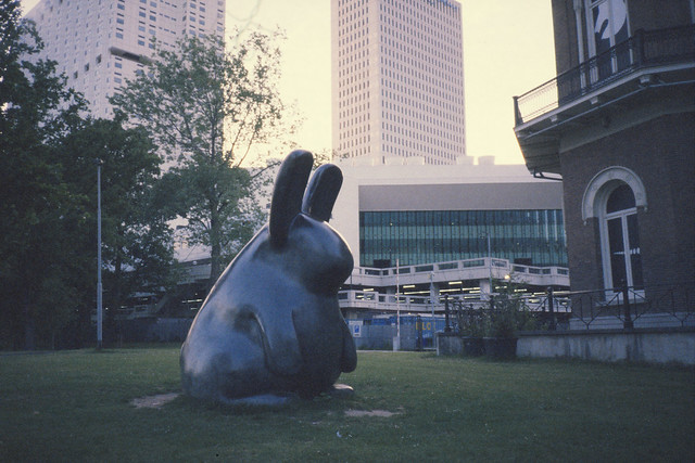 Fat bunny. (35mm) | Exp. Fujichrome Sensia 400.