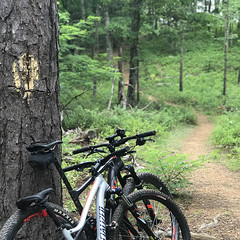  Recreational enthusiasts call this park "epic" and the "Disneyland of mountain biking."