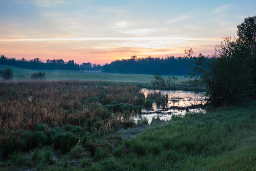 ab beaverco cattails fog nearhastingslake pastelskies pond pondgrasses risingsun rollingpastoralspringlandscape wetlands
