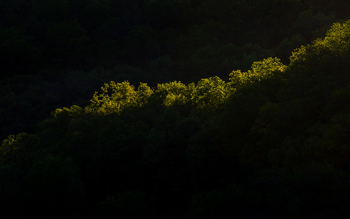 trees light sunset crossplains wisconsin nature midwest canoneos5dmarkiii canonef100400mmf4556lisusm evening wallpaper background