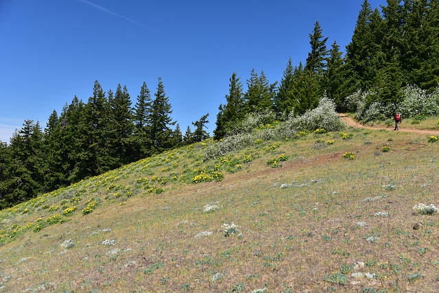 Bald Butte Hike