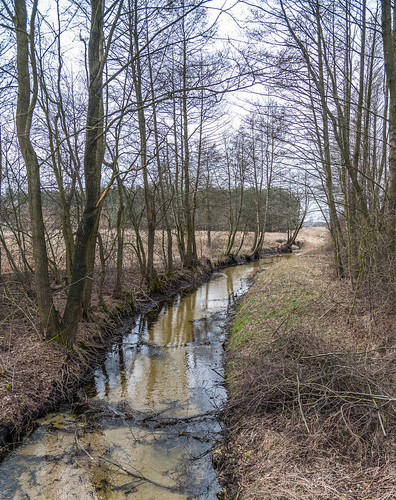landscape river radków świętokrzyskievoivodeship poland