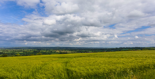 clouds cotswolds skys crops farmland barley