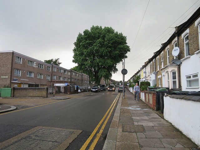 Street Tree - St Loys Road, Tottenham
