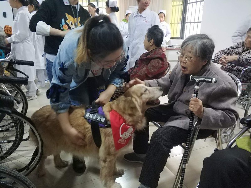 Dr Q bao visit Nanning Chongyang Elderly Nursing Center