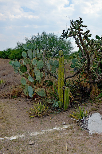 “sítio arqueológico de tula” tamaulipas méxico