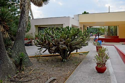 “sítio arqueológico de tula” tamaulipas méxico