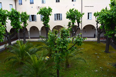 FIRENZE 2019