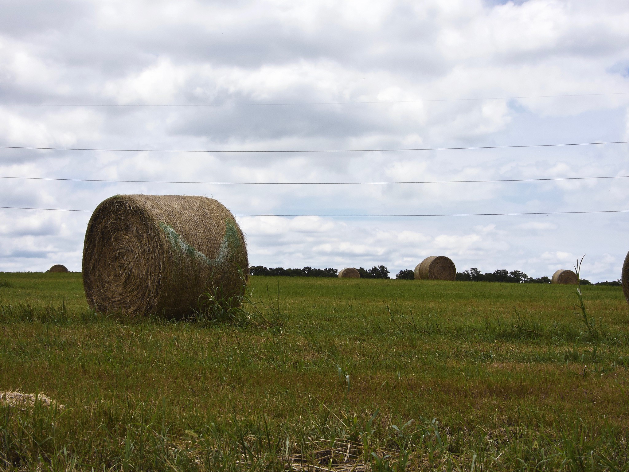 A Bale of Hay