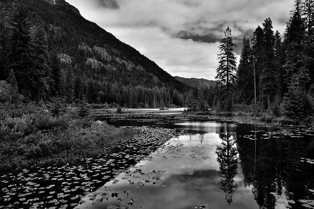 Mountainside, Blue Skies and Clouds Caught in Lake Water Reflections (Black & White, North Cascades National Park Service Complex)